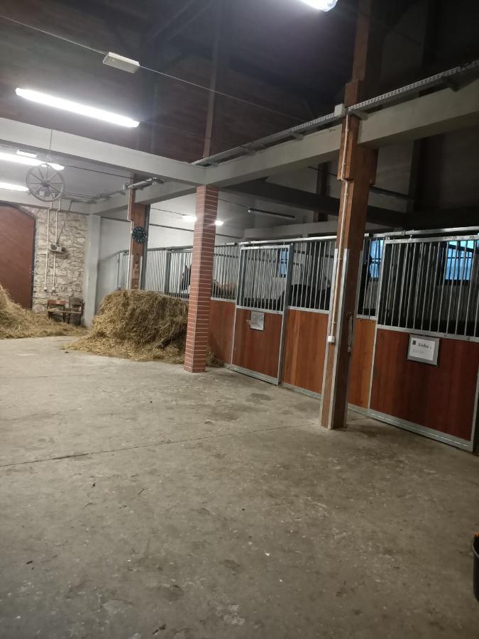 Apartament U Agaty Czernichow Krakow Zator Kültér fotó